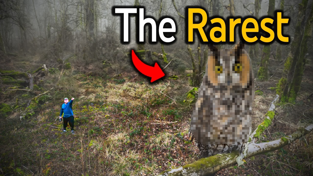 I Found The UK's Rarest Nocturnal Animal In The Daylight