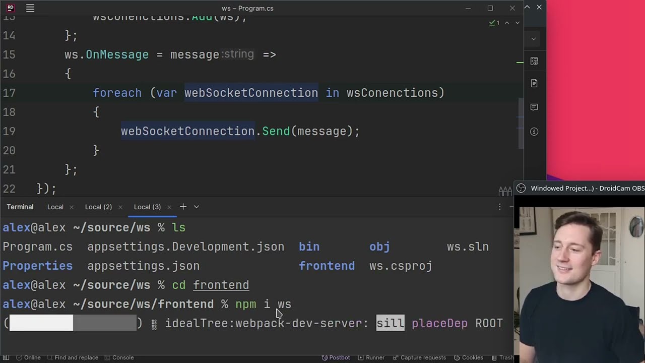 Making A WebSocket Server With .NET 8🧑‍💻