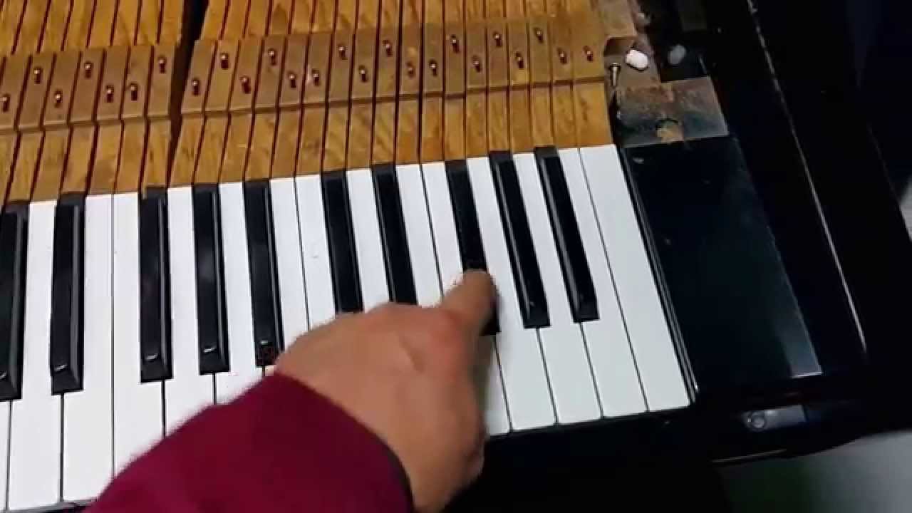 JKP cTV 피아노 투닝교육을 마치며 PIANO TUNING END