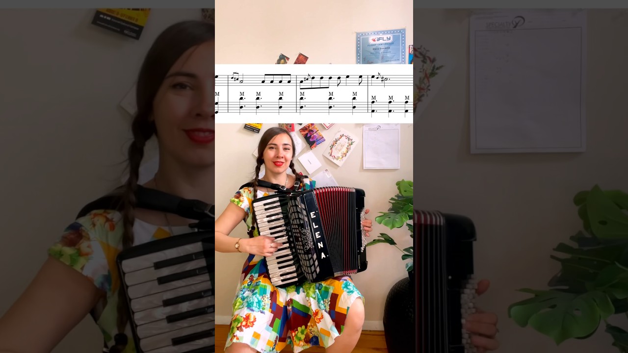 How to play Despacito (Piano Accordion TUTORIAL) 
