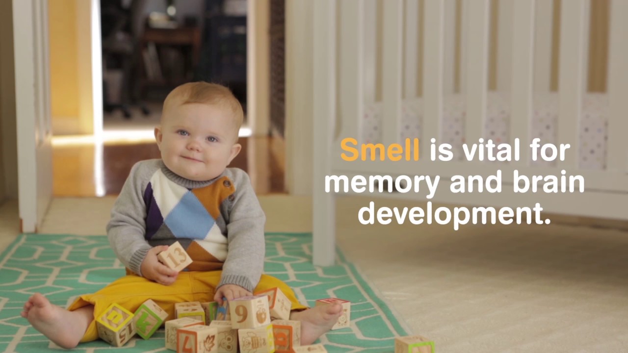 What is BabySmile Nasal Aspirator.＜official＞
