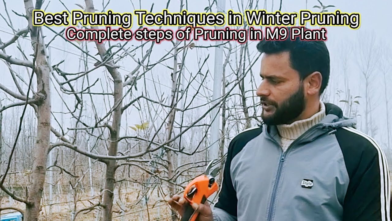 Complete steps in M9 Pruning || Magray Orchards