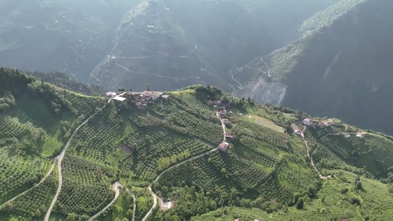 KÖPRÜÜSTÜ (BÜYÜK AYVEN)MAHALLESİ  ARAKLI/TRABZON