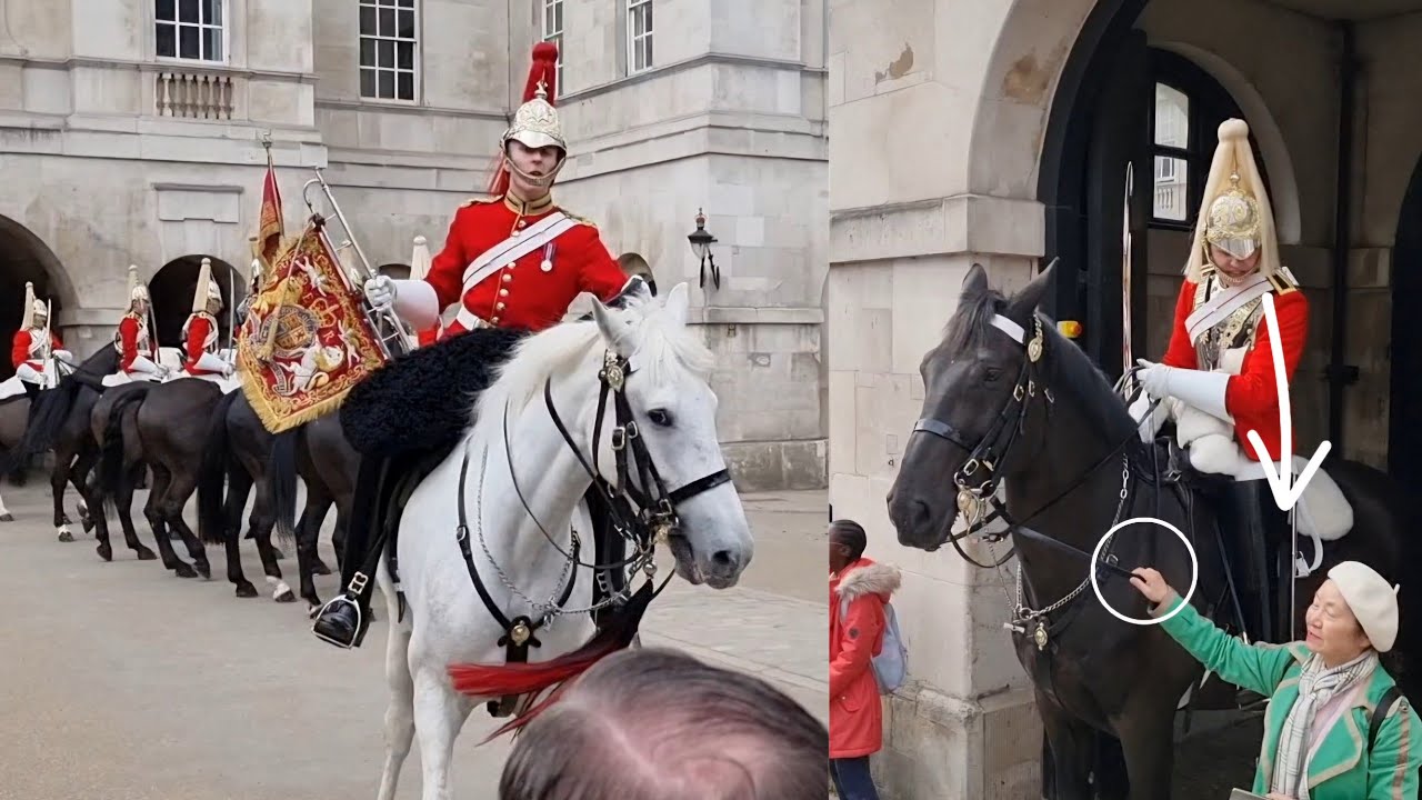 Why She Did It: 🤯 It Could Hurt the King’s Guard