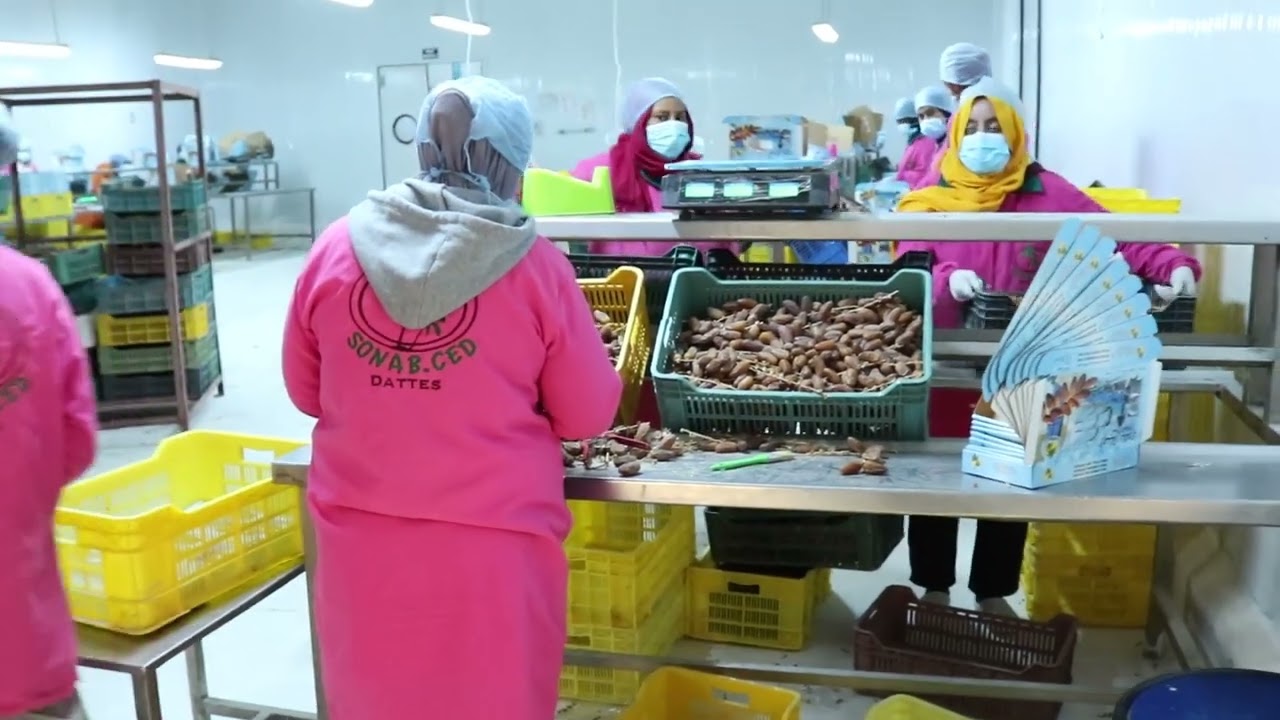 Dates Production Process 