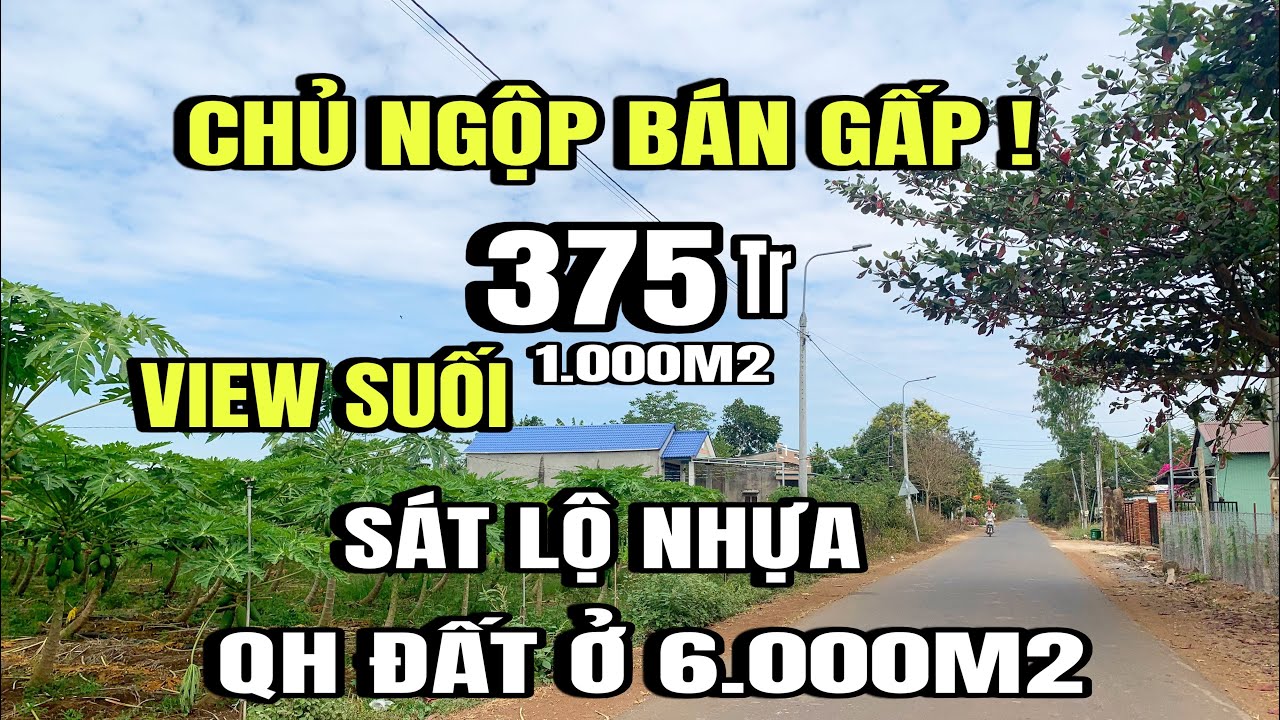 Cô tú bán gấp, mảnh đất vườn, sát lộ nhựa, view suối, Huyện cẩm Mỹ cũ, Đồng Nai