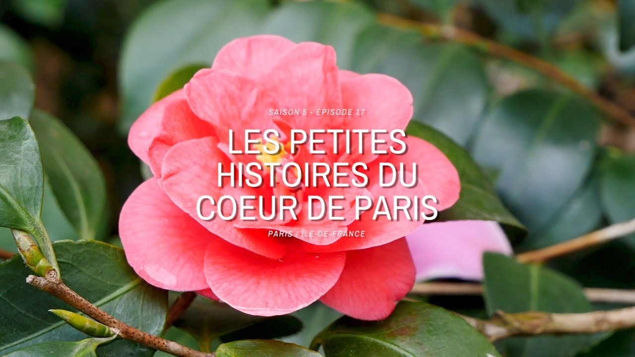 Les petites histoires du cœur de Paris - Terres de France