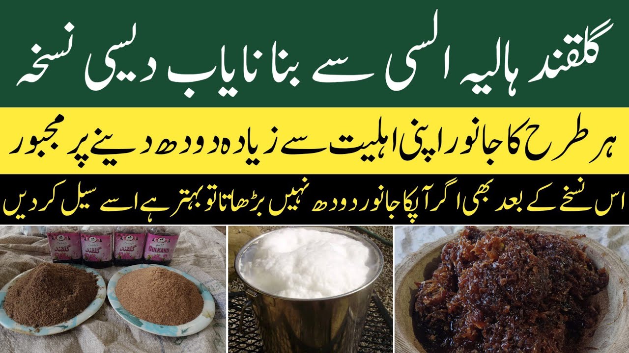 Maila Phainkna  Doodh Badhana | Ruki Jair Phainkna | Gulqand Haalo Alsi | گلقند ہالیہ السی کے کمالات