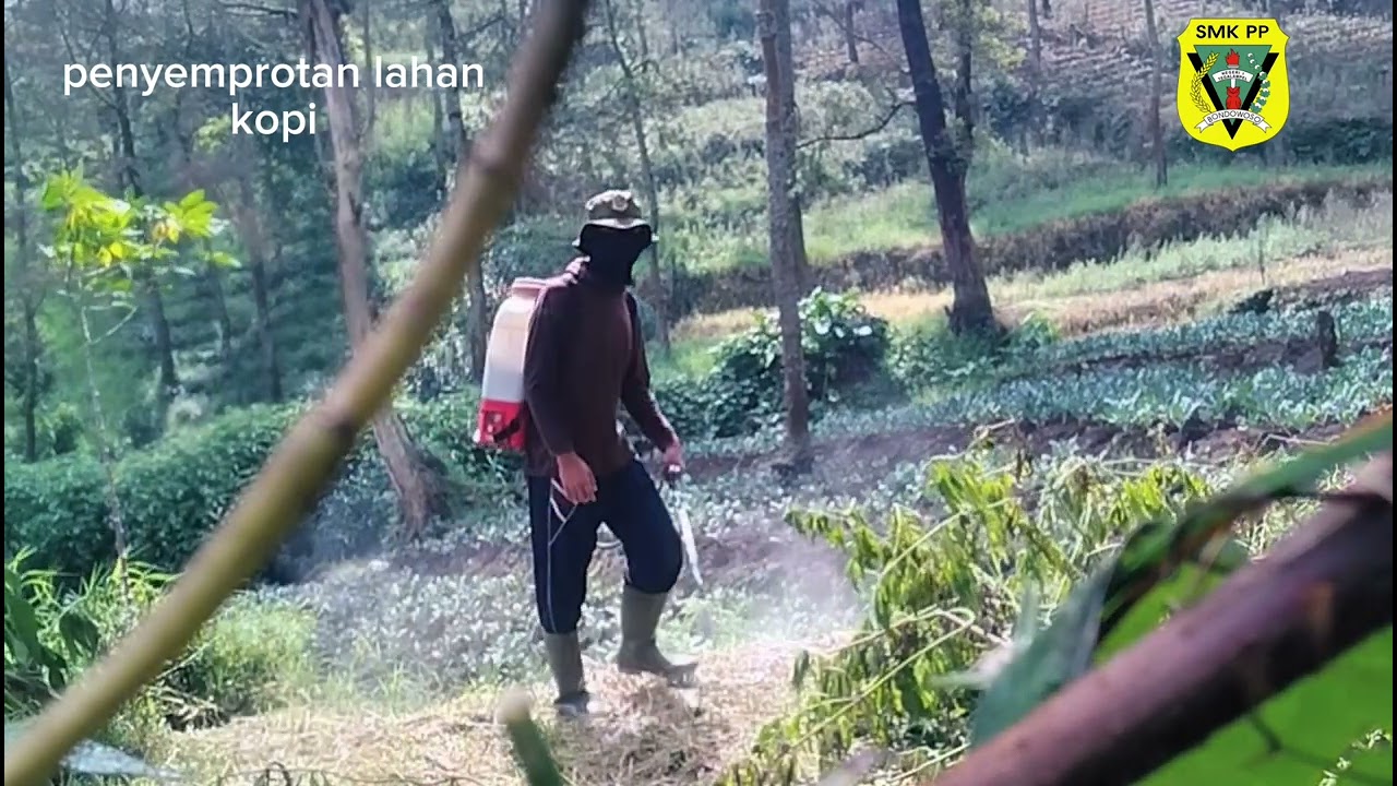 Kegiatan PKL di Arjuna flora