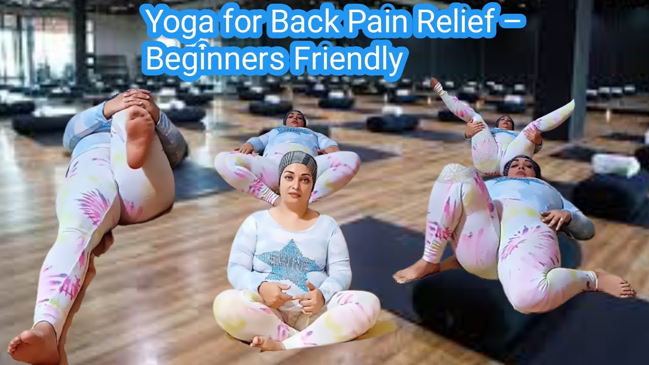 "Yoga for Back Pain Relief – Beginners Friendly | Meero Wellness"