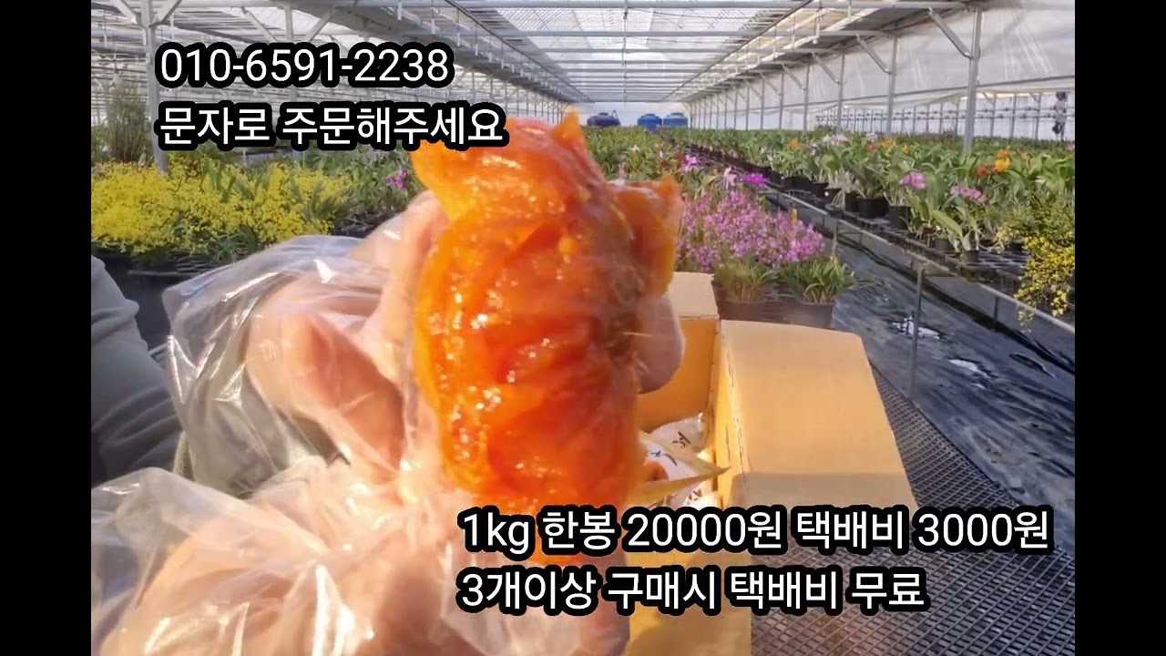 2026년1월26일