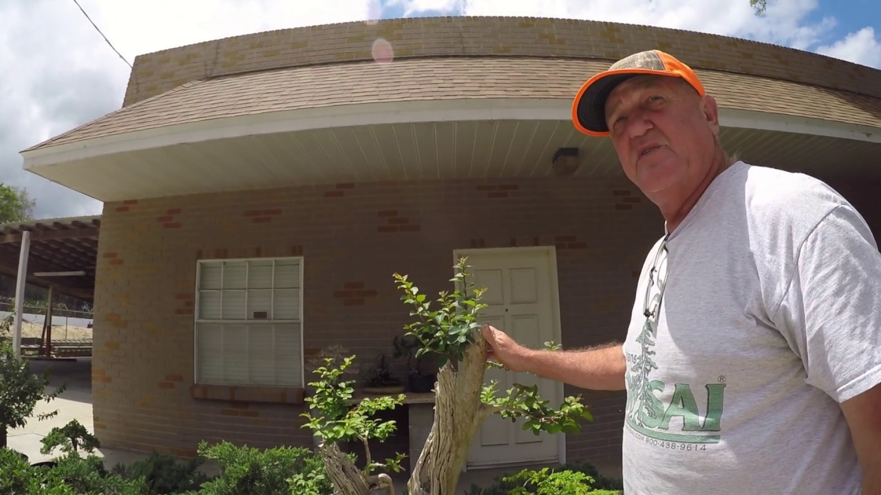 Bonsai Nursery Tour with Artisans Bonsai, Tampa 2017