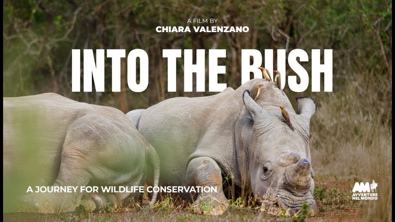 INTO THE BUSH | A Journey for Wildlife Conservation