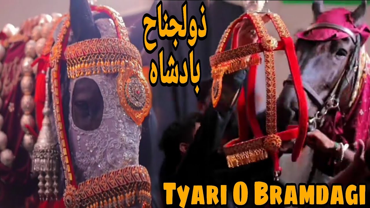 Tyari Sarkar E Zuljanah Badshah Rawalpindi || Horse Of Imam Hussein as #zuljanah