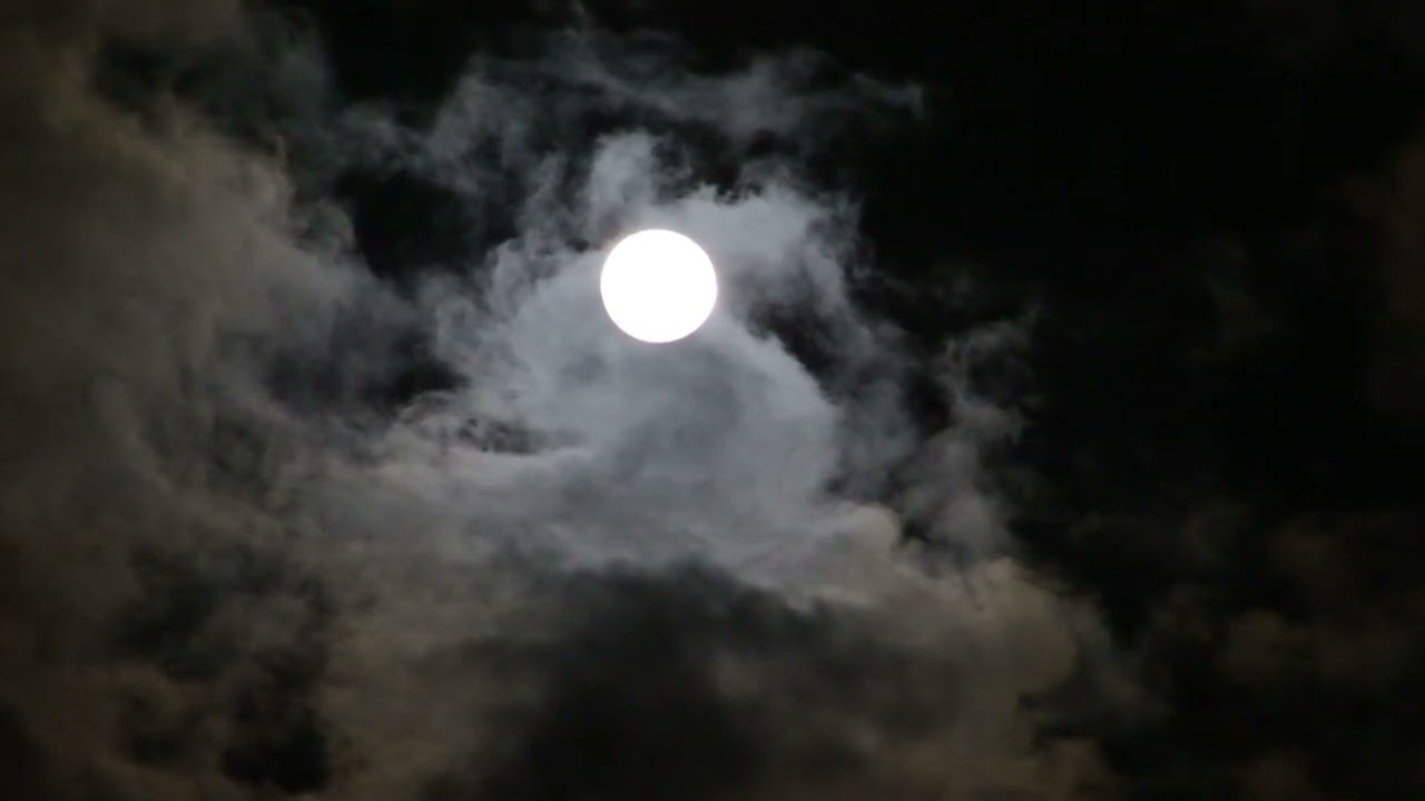 잠깐 쉬어도 되는 이유 🌙 | 지친 하루를 안아주는 위로의 노래 | A Reason to Rest