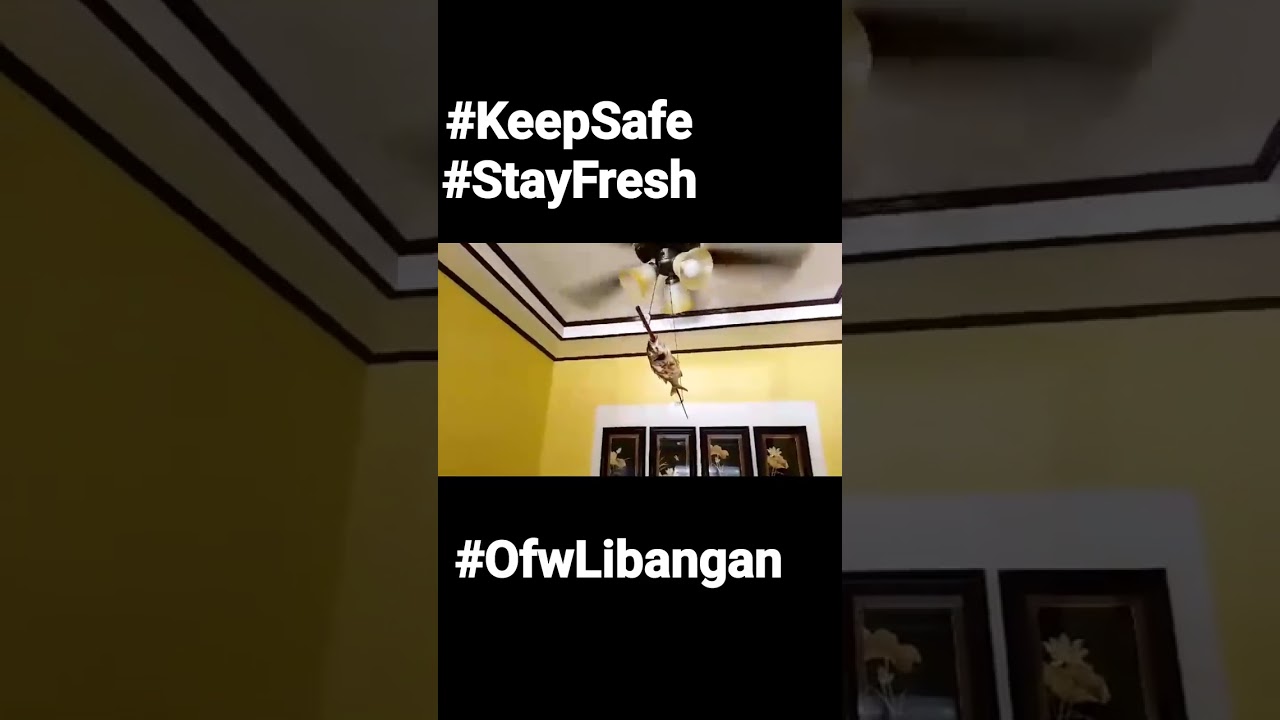 #OfwLibangan #PalanggaEme