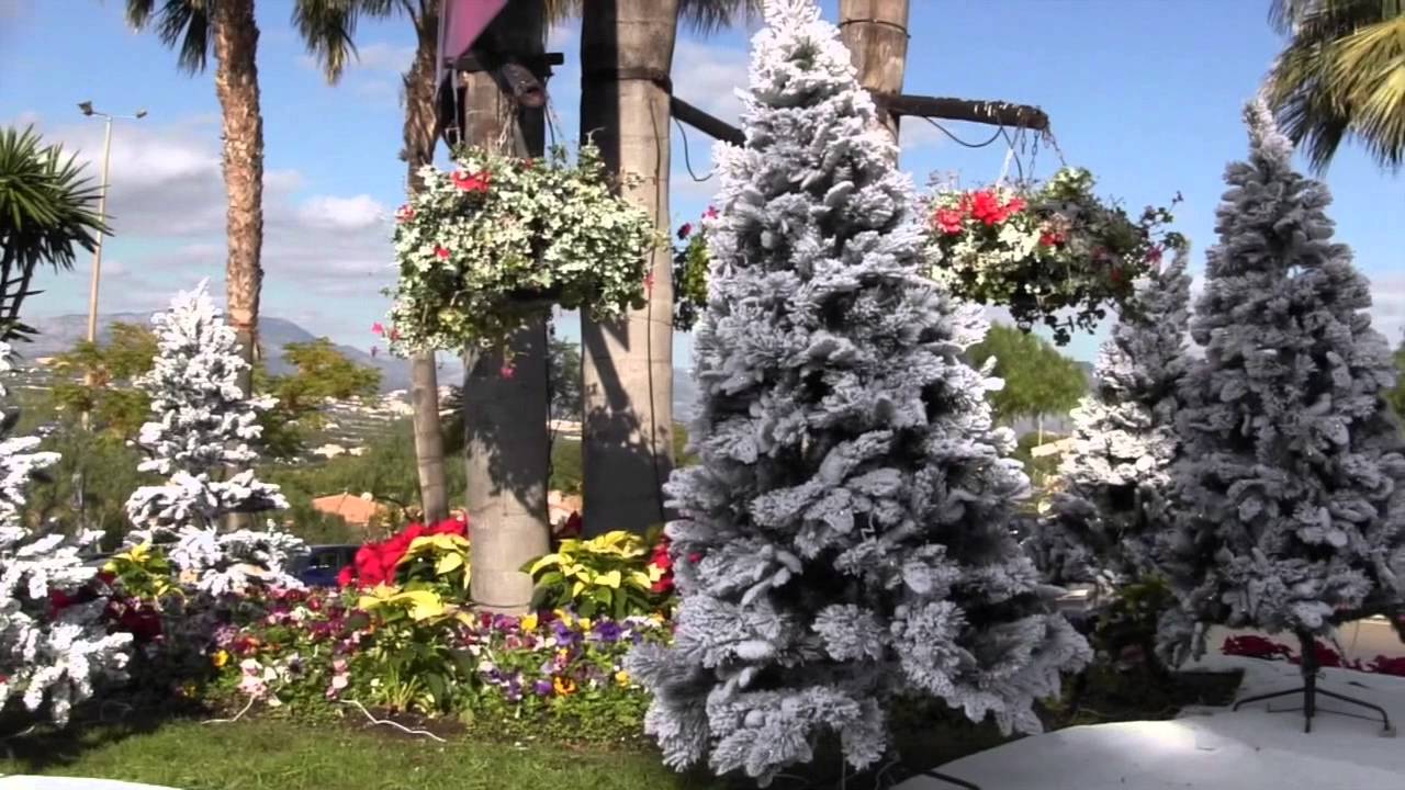Merry Christmas from Benidorm // Feliz Navidad desde Benidorm