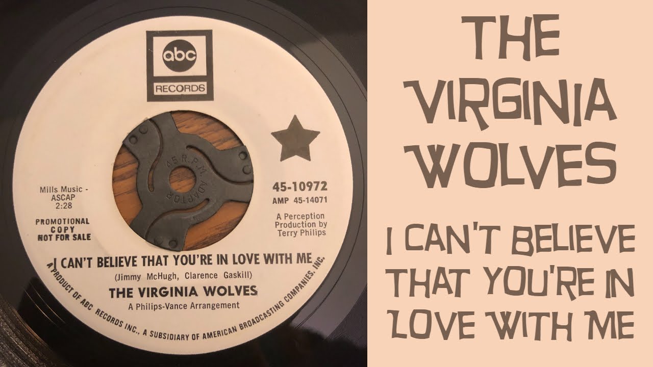 The Virginia Wolves - I Can't Believe That You're In Love With Me