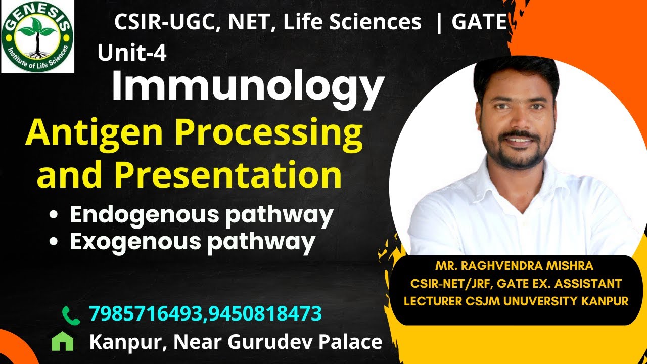 Antigen Processing and Presentation | Endogenous & Exogenous pathways | Immunology#genesis_institute