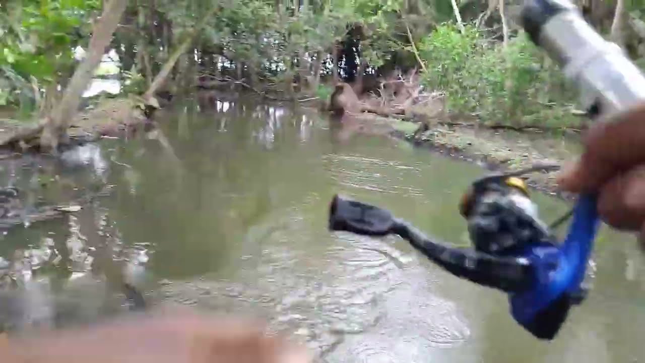 Casting Ikan Gabus di Selokan Kebun Kelapa | Strike Brutal di Spot Tak Terduga