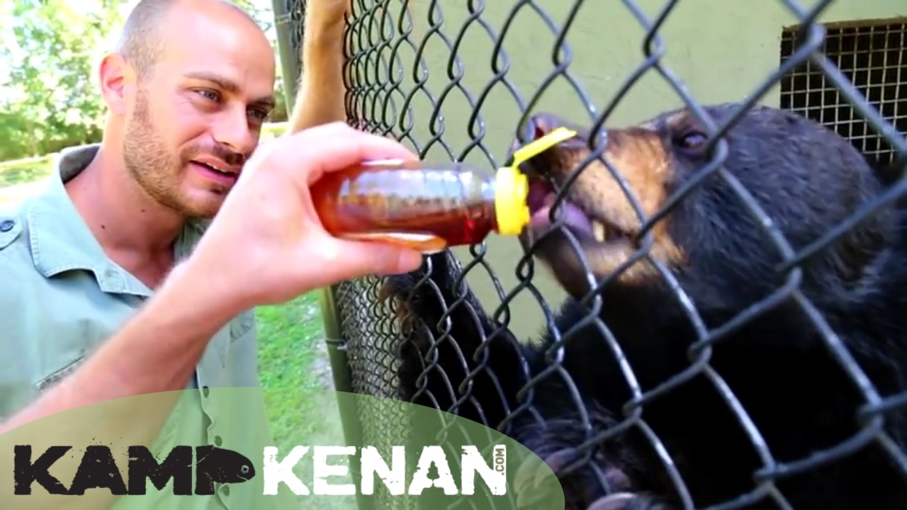 Florida Black Bears! : Kamp Kenan S1 Episode 16
