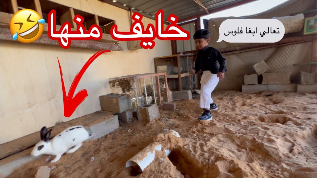 تحدي مع جواد اذا مسك الارنب اعطيه فلوس💵🤑