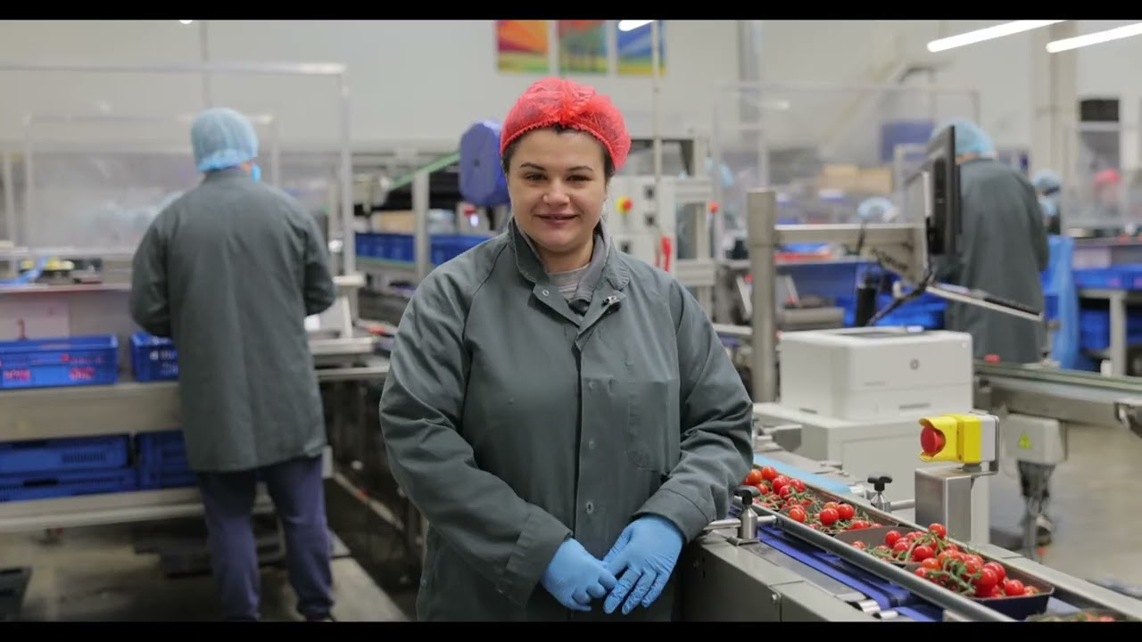 Visul de a lucra în Olanda – Povestea Mariei din România cu NL Jobs