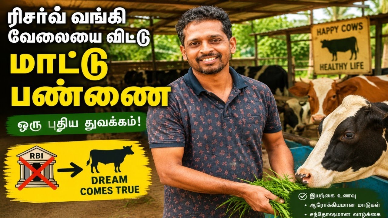 RBI வேலையை விட்டு மாட்டு பண்ணை | Dairy farm 