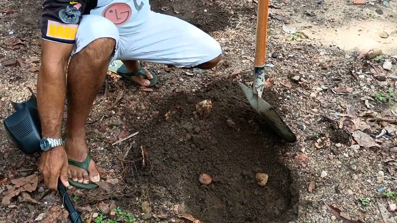 Procura botija em Bela Cruz Ceará 