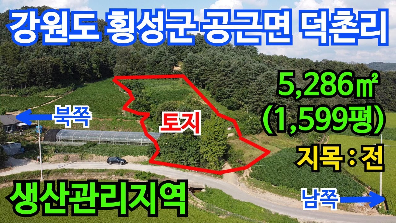 횡성군 생산관리지역 전 1필지 5,286㎡(1,599평) 면적 넓고 모양 좋은 토지 #횡성군토지#공근면토지#덕촌리토지#횡성군부지#공근면부지#횡성토지급매#덕촌리토지급매#횡성군토지급매