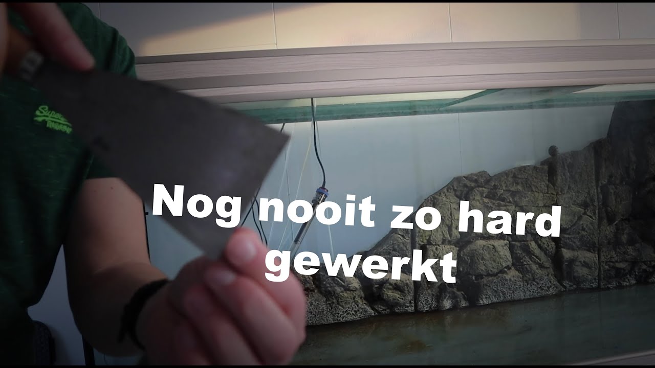 Achtergrond en kit verwijderen in mijn aquarium. Siliconen kit verwijderen aquarium. Krabben...