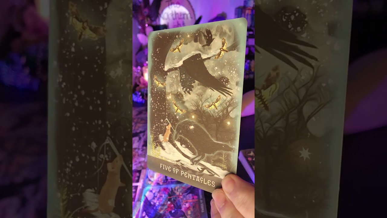 ✨️💌A message comes in to Right Their Wrongs! An apology for the damage they caused!💌✨️