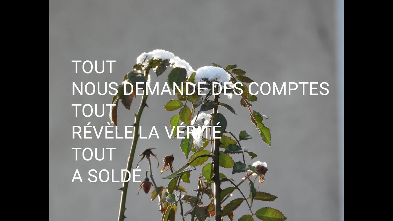 TOUT NOUS DEMANDE DES COMPTES, soyons très prudents avec ce que nous voulons....