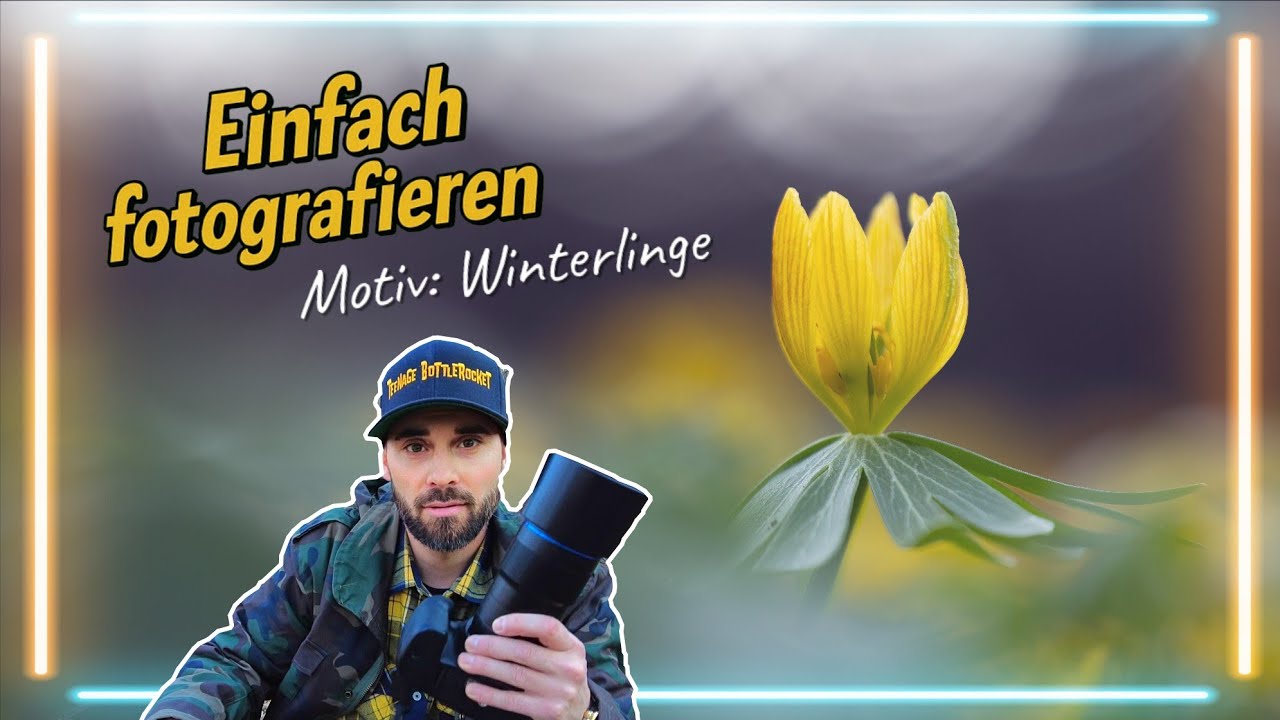 Einfach fotografieren - Motiv: Winterlinge - Naturfotografie / Blumenfotografie
