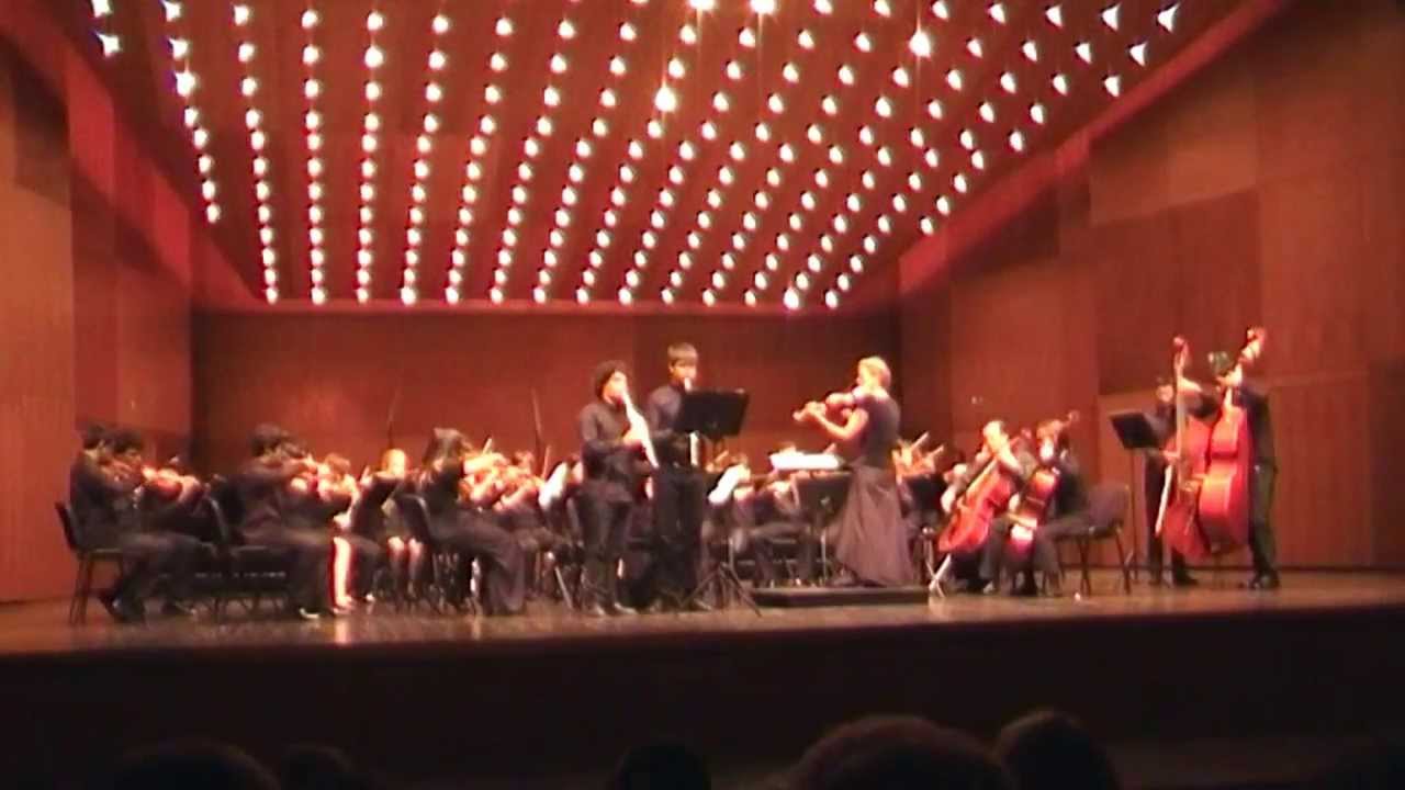 Ritmos Ciganos (Carlos Garcia)