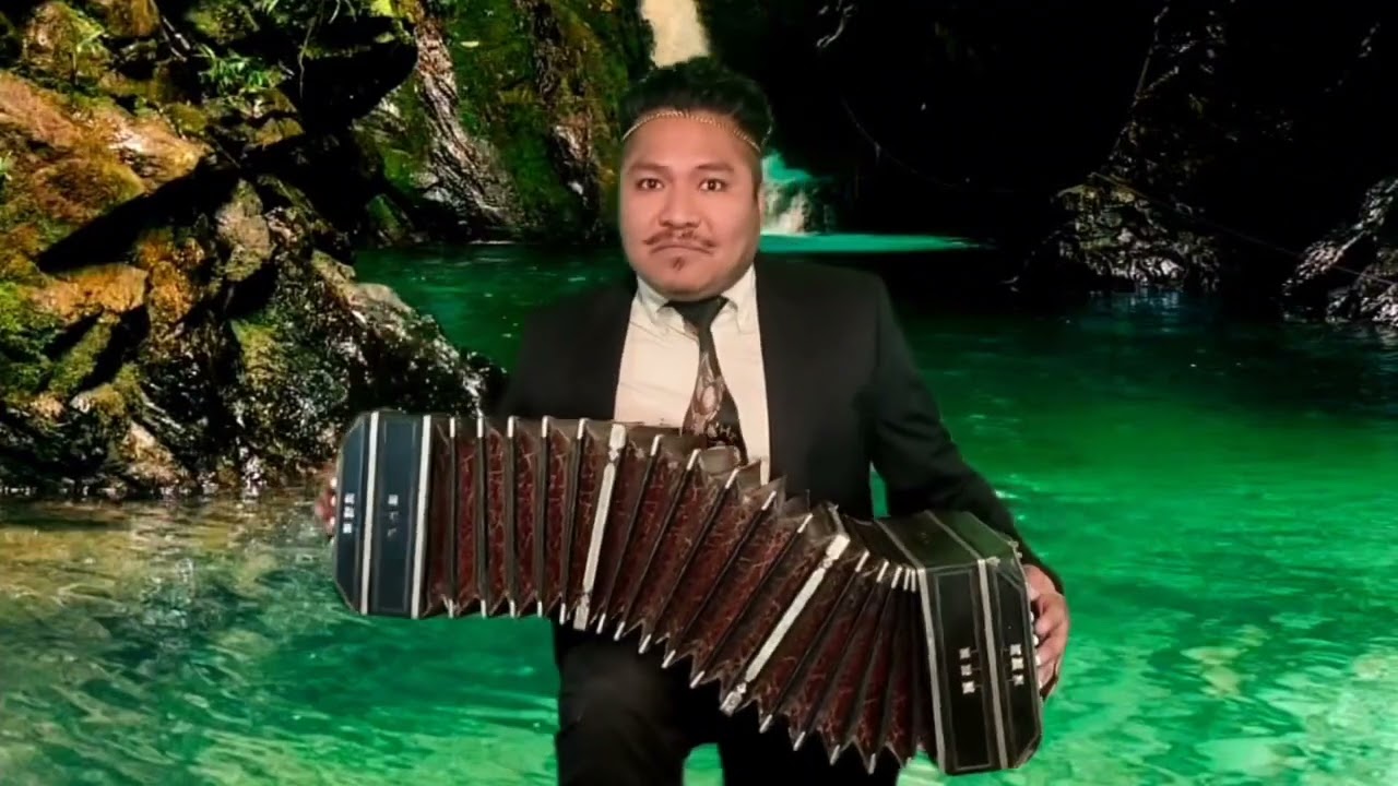ONDAS DE DANUBIO VALS ~ Zorro Del Bandoneón