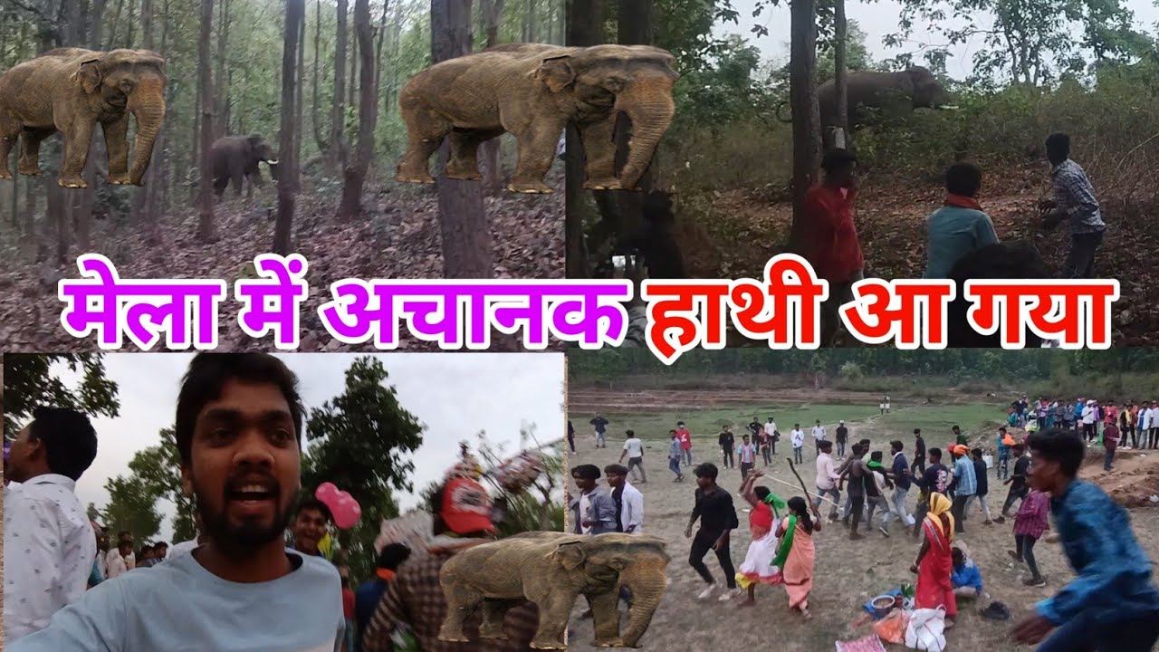 मेला में अचानक हाथी आ गया | और क्या हो गया लोगों को
