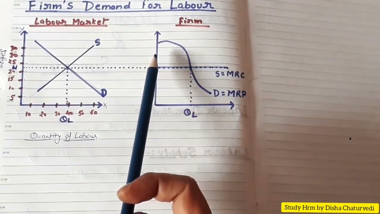 Labor Demand and Supply in hindi|Labor Market video in hindi|Demand and supply of labor