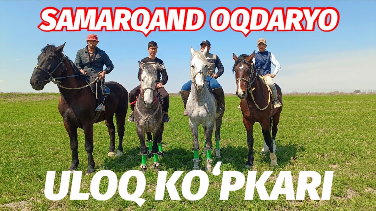 SAMARQAND OQDARYO 03.04.24-Y ULOQ KOʻPKARI