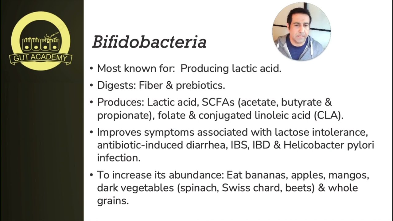 Focus on Bifidobacterium