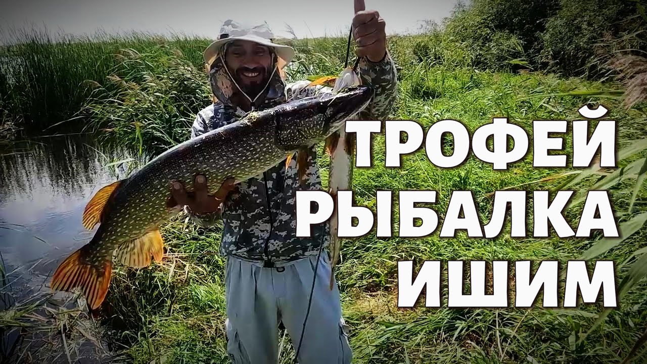 Поймал гигантскую рыбу на спиннинг!