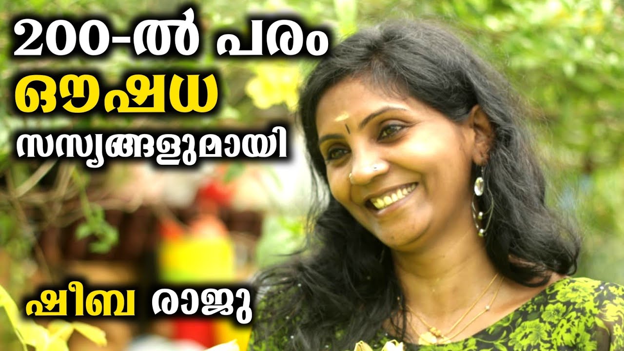 200-ൽ പരം ഔഷധ സസ്യങ്ങളുമായി ഷീബ രാജു | Rare Herbal Plants&Medicinal Plants And Uses