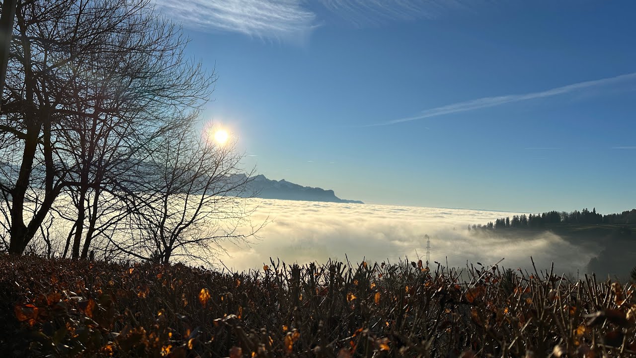 From Himalayas to Alps: A Bhutanese Family's Swiss Adventure-Part 3