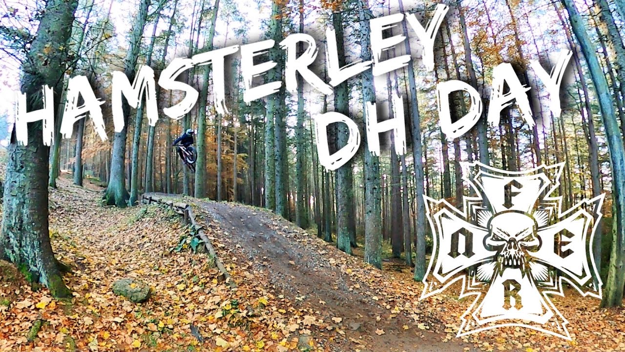 Danny Hart's Descend Bike Park push up day // Hamsterley Forest DH MTB