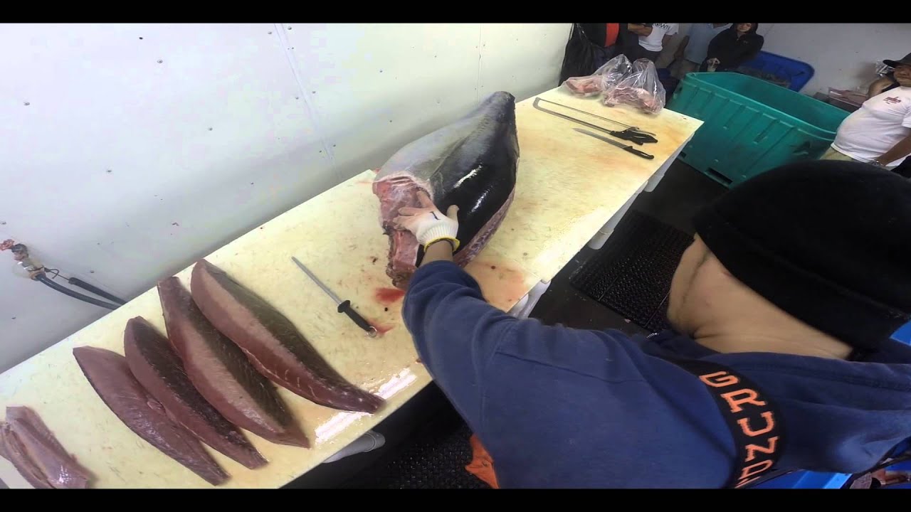 Suisan Fish Market - Iki Cutting a 270 lb. Ahi