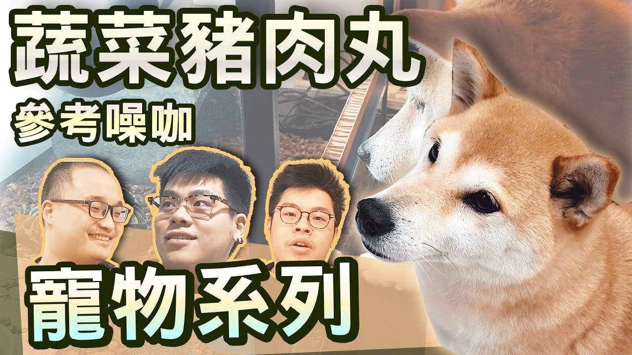 【寵物系列】#6 鳥屎你的狗啦  feat.鳥屎、燒餅、Fick
