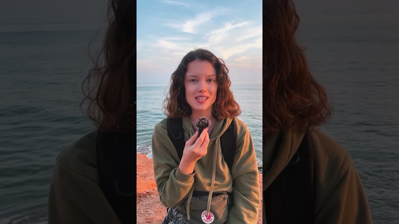 Le co&ucirc;t de la vie en van 🚐