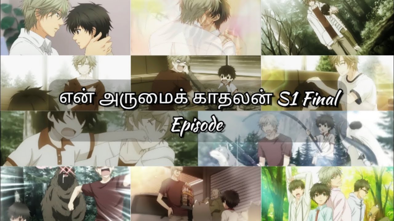 😱ஹாரு ஓட காதல் இப்படியா முடியனும்😱#btsangelwithme #anime #animeshorts #seriesreview #blseries #love 