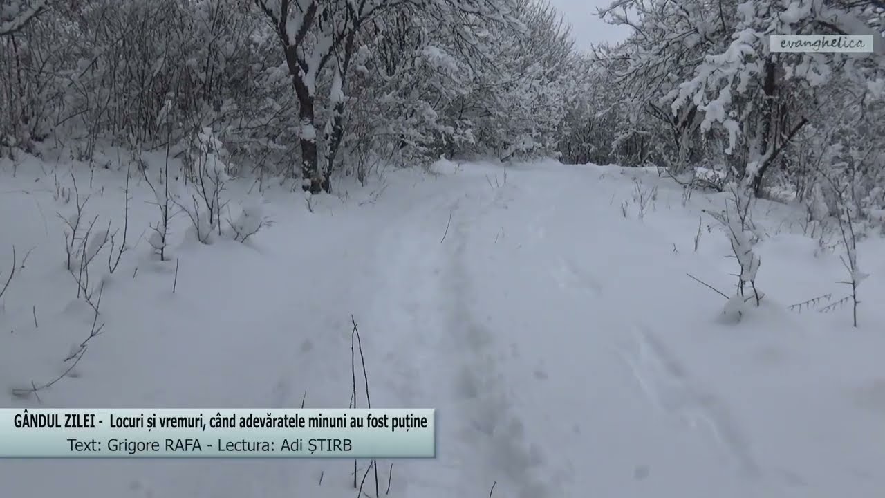 GÂNDUL ZILEI  -  Locuri și vremuri, când adevăratele minuni au fost puține