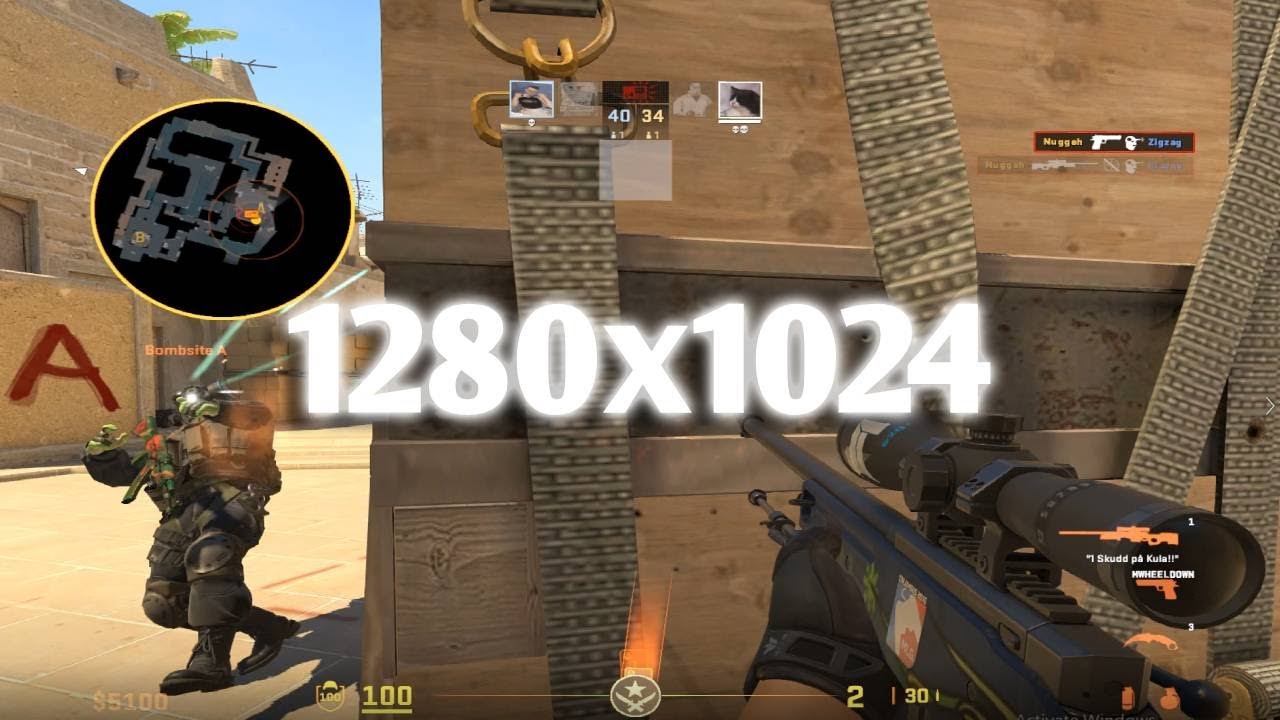 Faceit LV 10 Type Shit